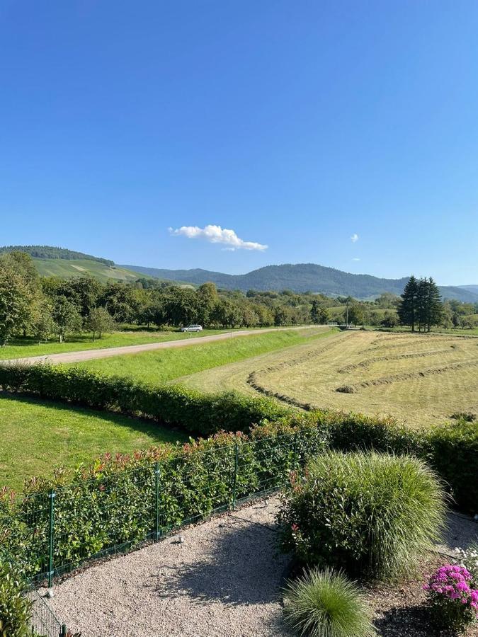 Ferienwohnung Reblandblick Baden-Baden Exterior foto